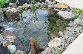 Dijamin, kolam ikan minimalis terlihat lebih hidup tanpa kesan membosankan sama sekali. 10 Ide Desain Kolam Ikan Minimalis Di Rumah Bukareview