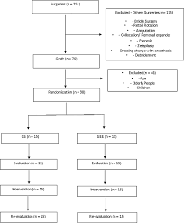 flow chart of patients who had skin burns download