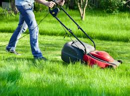 Riding mowers can cut your lawn maintenance time in half. The 5 Best Electric Lawn Mowers For 2021 Leafscore