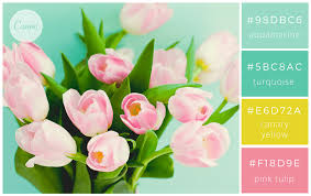 Memilih warna yang tepat bisa menjadi sebuah kemampuan yang sangat berguna. 100 Kombinasi Warna Brilian Dan Cara Menggunakan Pada Desain Canva