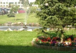 Informatii baile sarate srl, cui: Baile Sarate Sangeorgiu De Mures