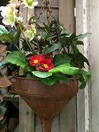 Northwest Flower Garden Highlights Northwest Flowers Unusual Planter Container Gardening Flowers