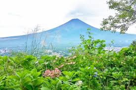 One Day In Kawaguchiko Itinerary Best Things To Do For Mt Fuji Views Backpacking Fuji Five Lakes Japan Flashpacking Japan