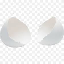 Gambar untuk kolase kulit telur. Cangkang Burung Kulit Telur Kartun Hewan Enkapsulasi Postscript Png Pngwing