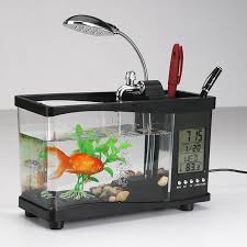 Rustic wooden coffee table bowl tray with green mossy balls unique décor rustic. Desktop Golden Fish Bowl With Alarm Clock Calendar Led Light Usb Power Supply Aquarium Fish Bowl Aquarium Fish Bowlfish Aquarium Bowl Aliexpress