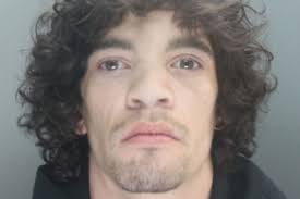 Wheelie-performing crook knocked off scrambler by police jailed for  dangerous driving