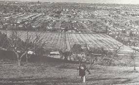 Santa Clara Valley 1974 Orchards Almost Gone San Jose California California History Santa Clara