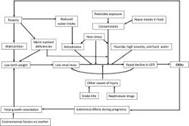 Hino akiharu yang sudah kehilangan orang tuanya saat kecil dan diadopsi ke dalam keluarga pamannya. Chronic Kidney Disease Of Unknown Etiology Ckdu Using A System Dynamics Model To Conceptualize The Multiple Environmental Causative Pathways Of The Epidemic Science Of The Total Environment X Mol