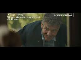 A Dog S Journey Cainele Adevăratul Meu Prieten 2 Youtube