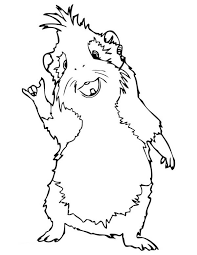 Maybe you would like to learn more about one of these? Ausmalbild Meerschweinchen Kostenlos Malvorlagen Fur Kinder Ausmalbilder Meerschweinchen Tiere Und Tierbedarf Kaufen Und Verkaufen Traveling Mania