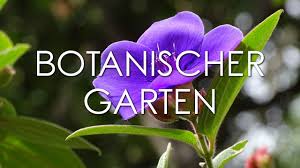 Dies dient dem schutz der kinder und der zahlreichen. Kreuzfahrt Kanaren Mit Aidablu 2017 Botanischer Garten In Funchal Madeira Youtube