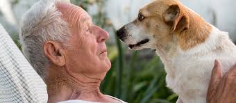 How Old is Too Old to Adopt?