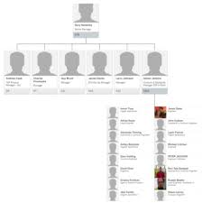 Organisational Structure Review Of Jaguar Land Rover