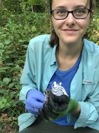 No field crew? No problem! Payton continues Lyme disease research