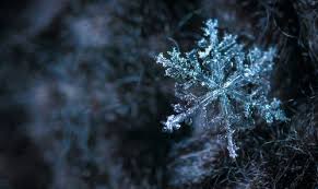 1000 Great Frost Photos Pexels Free Stock Photos Frosted glass 4k, cold temperature, winter, snow, frozen, ice. frost photos pexels free stock photos