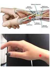 Also, the index finger and the little finger have an extra extensor, used for. How To Ease Up Severe Forearm Tendonitis Pain Quora