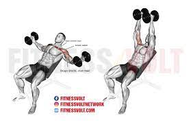 Check spelling or type a new query. How To Do Dumbbell Incline Fly Exercise Guide Video Fitness Volt
