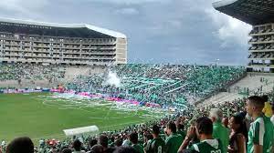 We did not find results for: Die Grossten Stadien In Kolumbien Die Tempel Der Kolumbianischen Fussball
