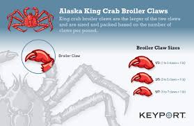 Standard shipping via ups 2nd day air is included in the quoted price. King Crab Sizing Guide Keyport Sizing Guide For Wholesale King Crab