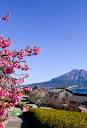 Kagoshima City | Kagoshima | Kyushu | Destinations | Travel Japan ...