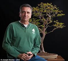 © 2021 all rights reserved. Bonsai Masters Share Secrets Behind The Art Of Their Ancient Trees Daily Mail Online