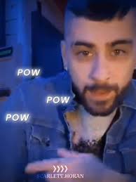 Zayn Malik Phone Case