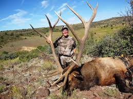 Randy Ulmer Editor-at-Large