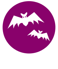 Der glanz der sonne » bestellen. Der Argeneau Clan Alle Ebooks Bucher Reihenfolge Bei Ebook De