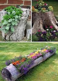 Baked Onion Rings Budget Garden Garden Projects Plants