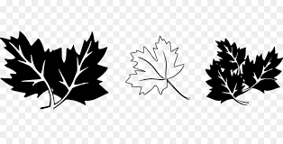 Anggap selesai dengan segala kekurangan. Daun Maple Gambar Hitam Dan Putih Gambar Png