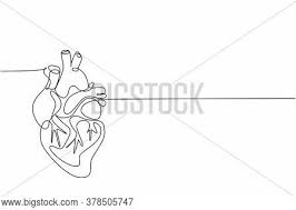 So representing their connections is very tedious. One Continuous Line Vector Photo Free Trial Bigstock