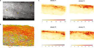 Florist delivered flowers have same day delivery, guaranteed! Automated Tracking And Analysis Of Ant Trajectories Shows Variation In Forager Exploration Scientific Reports