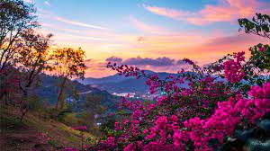 This Pin Is Showing That Spring Is A Very Special Season In The Years And Is A Very Beautiful Sea Spring Wallpaper Spring Desktop Wallpaper Spring Wallpaper Hd