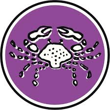 The cusp of cancer and leo, a sweet and sour touch that intoxicates.i'm talking about those people who were born between july 19 and 25. Positive And Negative Traits Of The Cancer Leo Cusp Of Oscillation Astrology Bay