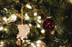 About 1% of these are artificial plant. Vermont Christmas Tree Roundup Where You Can Buy The Best Tree