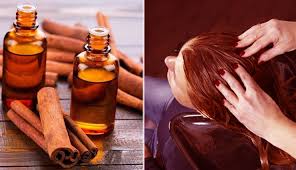 Information about use of olive oil, honey and cinnamon powder for hair loss treatment! 5 Diy Cinnamon Masks To Treat Scalp And Hair Growth Lifeberrys Com