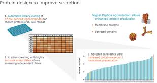 Shutterstock the need for a vaccine to combat the virus has. Tm2016252 23 424b4 None 46 55952s