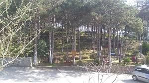 Yasak kartal, pendik ve sultanbeyli'yi ilgilendiren aydos ormanlarında da geçerli olacak. Aydos Ormanlari Aydos Kalesi Istanbul Resmi Tripadvisor