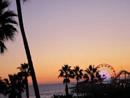 Résultat de recherche d'images pour "palm trees santa monica"