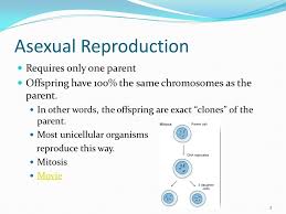 1 Make A Venn Diagram 2 Asexual Reproductionsexual