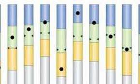 وزير التعليم درجات تانية ثانوي الوان وتالته درجات. Ø§Ù„Ø¯Ø±Ø¬Ø§Øª Ø¨Ø§Ù„Ø£Ù„ÙˆØ§Ù† Ø§Ù„ØªØ±Ø¨ÙŠØ© ÙˆØ§Ù„ØªØ¹Ù„ÙŠÙ… ØªØ¹Ù„Ù† Ù†ØªÙŠØ¬Ø© Ø§Ù„ØµÙ Ø§Ù„Ø«Ø§Ù†ÙŠ Ø§Ù„Ø«Ø§Ù†ÙˆÙŠ Ø£Ù‡Ù„ Ù…ØµØ±