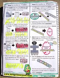 Using the genetic code chart, fill in the amino acids for each dna strand. Rna Protein Synthesis Interactive Notebook Mrs Gs Classroom