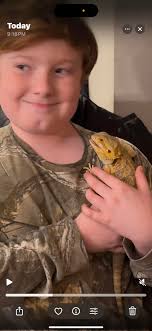 Kiwi goes from window to window thinking he's sly