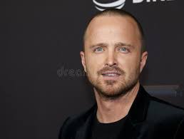 614 Aaron Paul Stock Photos