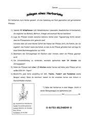 Wählt eine deckblatt vorlage aus und legt gleich los mit eurem herbarium. Biologie Arbeitsmaterialien Herbarium 4teachers De