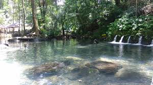 Tiket konser, tour, atraksi, tempat bermain, seminar, cari paket wisata, kuliner, transportasi, spa kecantikan apa saja. Hutan Sesaot Objek Wisata Sempurna Di Lombok Bagi Jiwa Petualang Info Wisata Hits