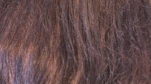 apfelessig fur die haarwasche frag mutti apfelessig haare apfelessig haare waschen