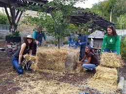 This includes giving them protection from cold temperatures, rodents, infections and even the sun. Preparing Fruit Trees For Winter In Five Easy Steps