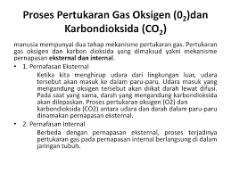 Pernafasan Respirasi Ppt Download