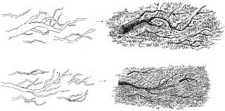 Draw dirt ground step 1. How To Draw Tree Branches In Pen And Ink Pen And Ink Drawings By Rahul Jain